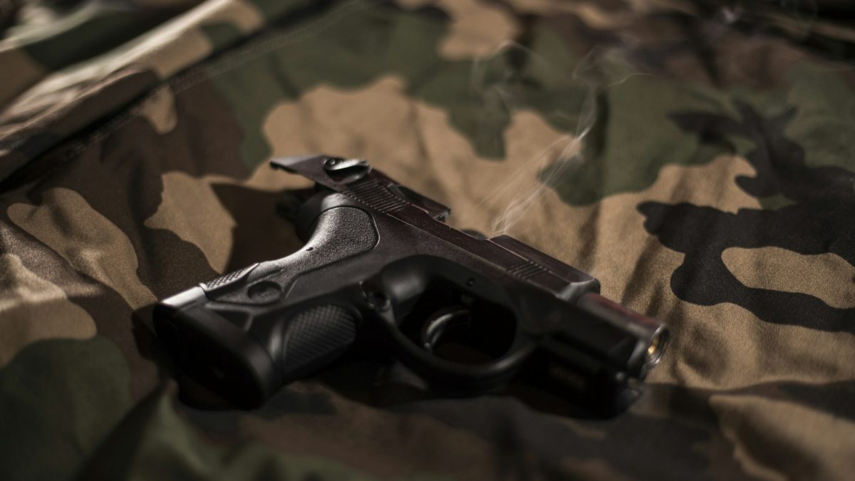 Lamna the shark EixLebsrOkU unsplash