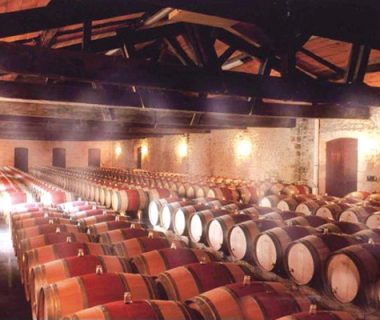 Umidificazione cantine EuroCooling System è la scelta degli imprenditori di Bertinoro